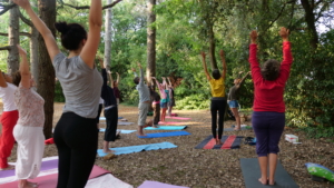 Yoga sous les arbres cet été à La Rochelle au parc Franck Delmas