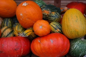 courge-automne